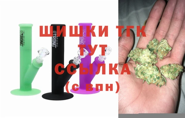 стаф Абинск