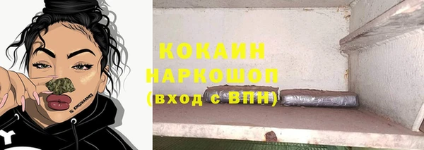 стаф Абинск