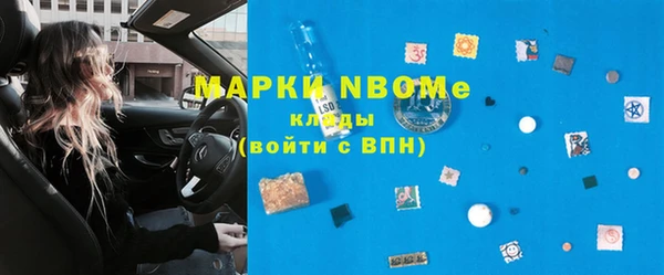 хмурый Абаза