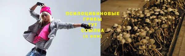2c-b Алзамай
