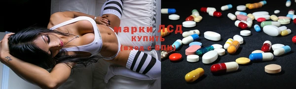 хмурый Абаза