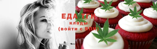 хмурый Абаза