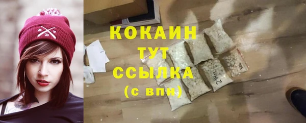 стаф Абинск