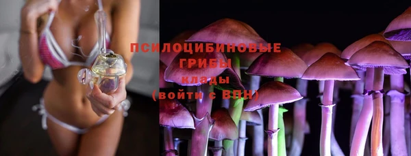 стаф Абинск