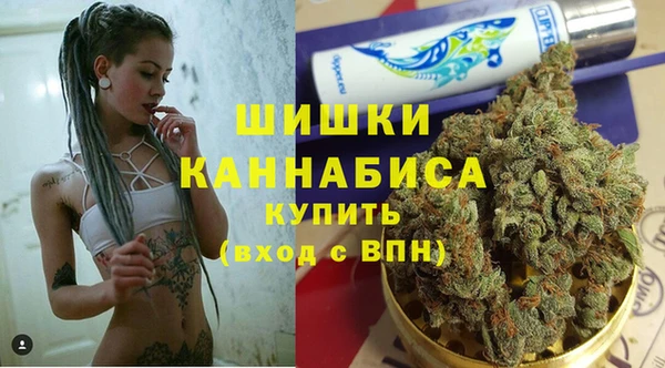 хмурый Абаза