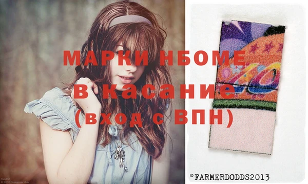 хмурый Абаза