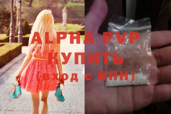хмурый Абаза