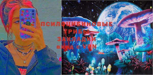 стаф Абинск