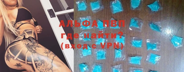 хмурый Абаза