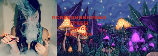 стаф Абинск