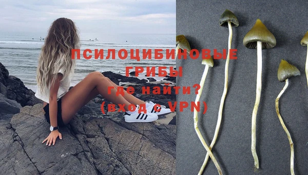 стаф Абинск